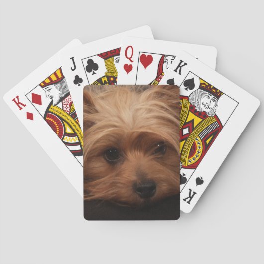 Yorkshire Terrier-speelkaarten Pokerkaarten (Achterkant)