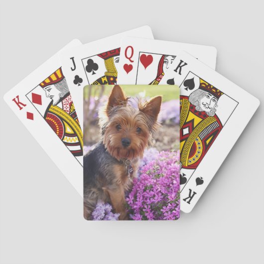 Yorkshire Terrier-speelkaarten Pokerkaarten (Achterkant)