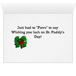 Yorkshire Terrier St Patricks