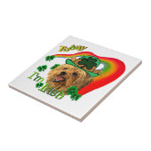 Yorkshire Terrier St Patricks Tegeltje (Zijkant)