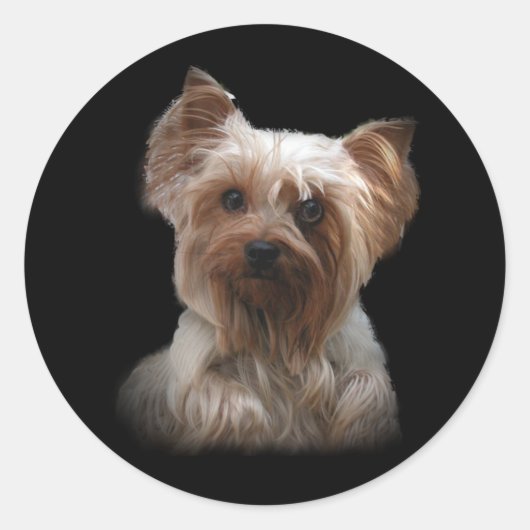 Yorkshire Terrier Sticker (Voorkant)