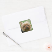 Yorkshire Terrier Stickers (Envelop)