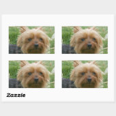 Yorkshire Terrier Stickers (Vel)