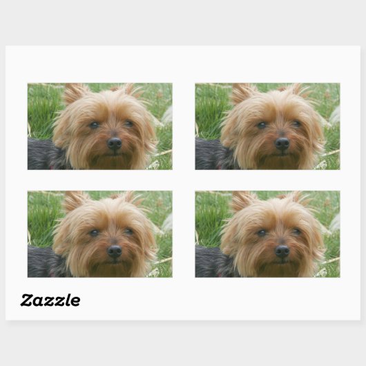 Yorkshire Terrier Stickers (Vel)