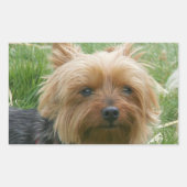 Yorkshire Terrier Stickers (Voorkant)
