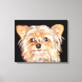 Yorkshire Terrier Stretched Canvas Print