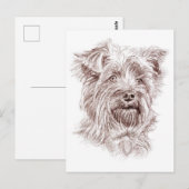 Yorkshire Terrier Tekening Briefkaart (Voorkant / Achterkant)