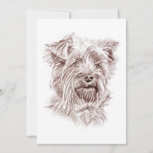 Yorkshire Terrier tekening Kaart (Voorkant)