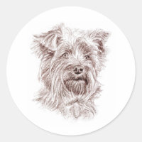 Yorkshire Terrier Tekening
