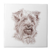 Yorkshire Terrier tekening Tegeltje (Voorkant)