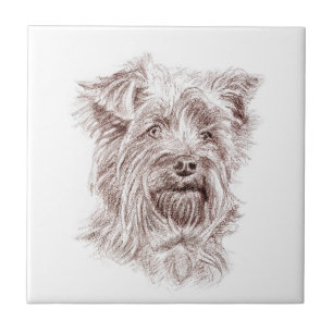 Yorkshire Terrier tekening Tegeltje