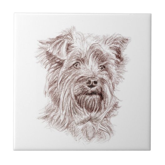 Yorkshire Terrier tekening Tegeltje (Voorkant)