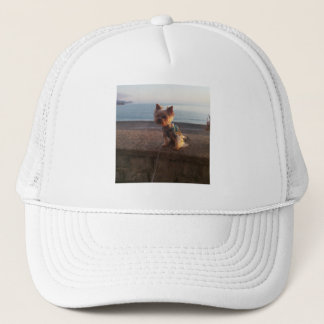Yorkshire Terrier Trucker Pet