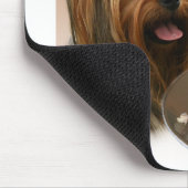 Yorkshire Terrier Turkije Muismat (Hoek)