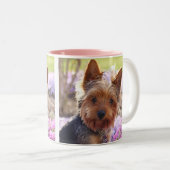 Yorkshire Terrier Tweekleurige Koffiemok (Voorkant rechts)
