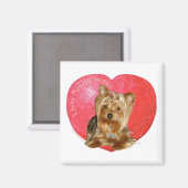 Yorkshire Terrier Valentijnsdag Magneet (Voorkant / Achterkant)