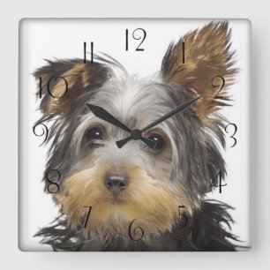 Yorkshire Terrier Vierkante Klok