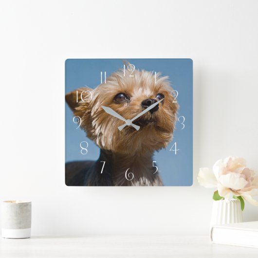 Yorkshire Terrier Vierkante Klok (Huis)