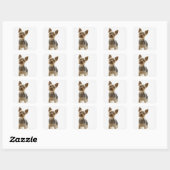 Yorkshire Terrier Vierkante Sticker (Vel)