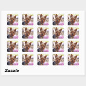 Yorkshire Terrier Vierkante Sticker (Vel)