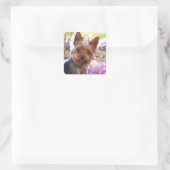 Yorkshire Terrier Vierkante Sticker (Tas)