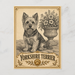 Yorkshire Terrier, Vintage Heritage Hond Briefkaart