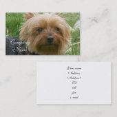 Yorkshire Terrier Visitekaartjes (Voorkant / Achterkant)