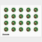 Yorkshire Terrier Vrede Ronde Sticker (Vel)