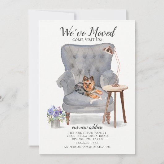 Yorkshire Terrier We hebben de aankondiging van Mo (Voorkant)