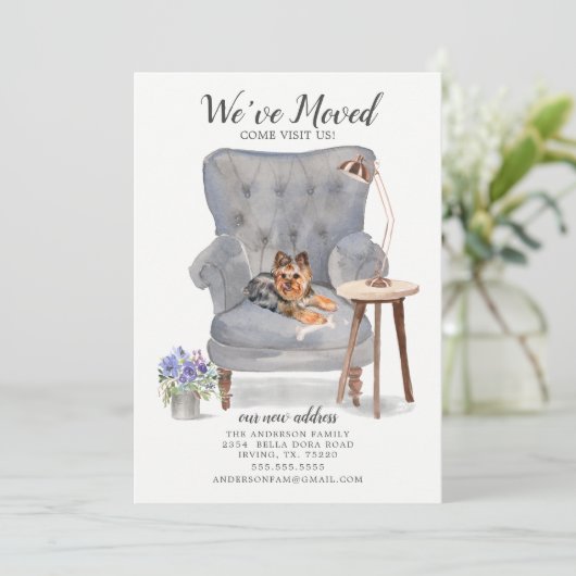 Yorkshire Terrier We hebben de aankondiging van Mo (Staand voorkant)