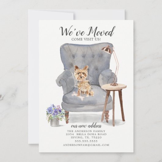 Yorkshire Terrier We hebben de aankondiging van Mo (Voorkant)