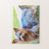 Yorkshire Terrier Yorkie Breed Dog Puppy Legpuzzel (Verticaal)