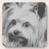 Yorkshire Terrier Yorkie Favorite Breed Bier Onderzetter (Voorkant)