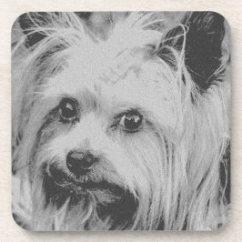Yorkshire Terrier Yorkie Favorite Breed Bier Onderzetter