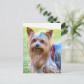 Yorkshire Terrier Yorkie Favorite Breed Briefkaart (Staand voorkant)