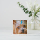Yorkshire Terrier Yorkie Favorite Breed Informatiekaartje (Staand voorkant)
