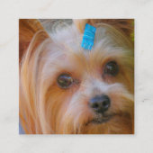 Yorkshire Terrier Yorkie Favorite Breed Informatiekaartje (Voorkant)