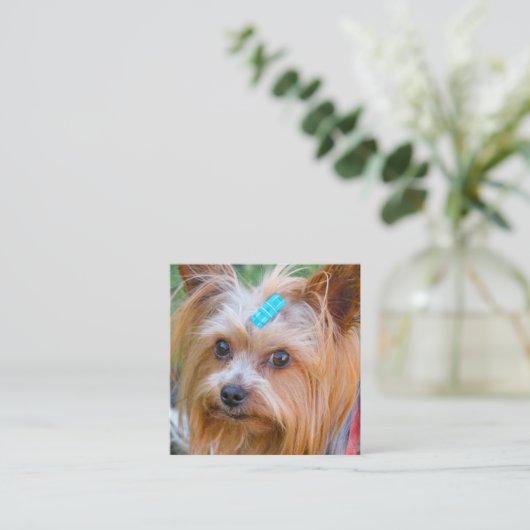 Yorkshire Terrier Yorkie Favorite Breed Informatiekaartje (Staand voorkant)