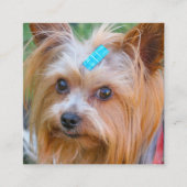 Yorkshire Terrier Yorkie Favorite Breed Informatiekaartje (Voorkant)