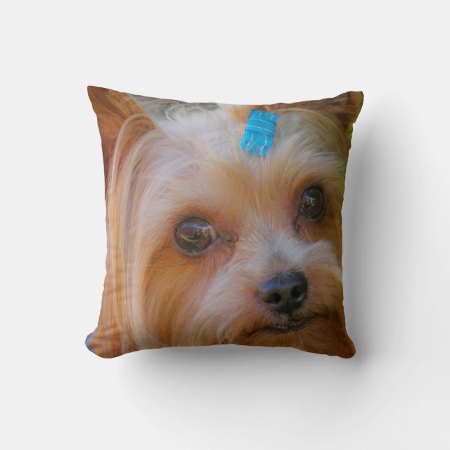Yorkshire Terrier Yorkie Favorite Breed Kussen (Voorkant)