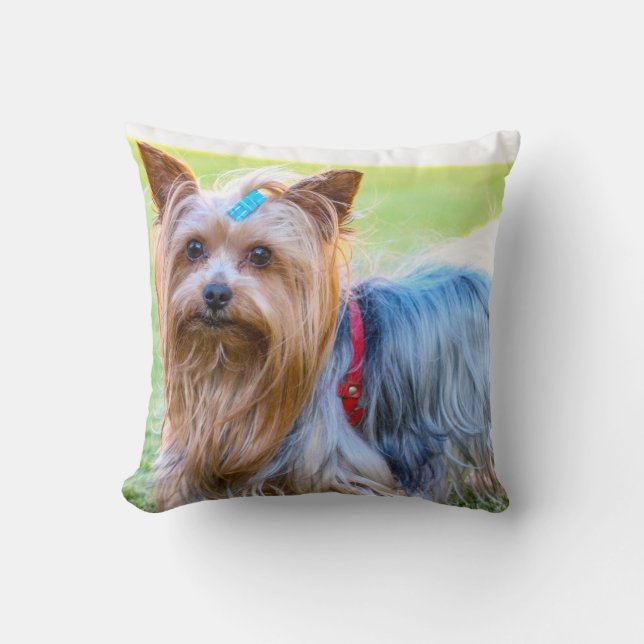 Yorkshire Terrier Yorkie Favorite Breed Kussen (Voorkant)