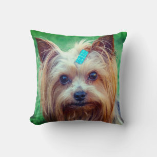 Yorkshire Terrier Yorkie Favorite Breed Kussen