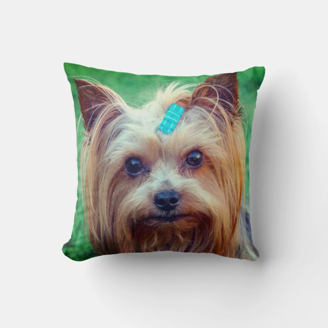 Yorkshire Terrier Yorkie Favorite Breed Kussen (Voorkant)