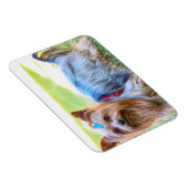Yorkshire Terrier Yorkie Favorite Breed Magneet (Rechterzijde)
