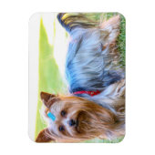 Yorkshire Terrier Yorkie Favorite Breed Magneet (Verticaal)