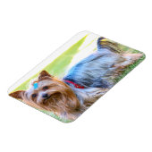 Yorkshire Terrier Yorkie Favorite Breed Magneet (Linkerzijde)