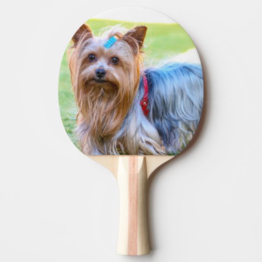 Yorkshire Terrier Yorkie Favorite Breed Tafeltennisbatje (Voorkant)