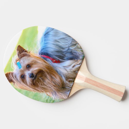 Yorkshire Terrier Yorkie Favorite Breed Tafeltennisbatje (Zijkant)