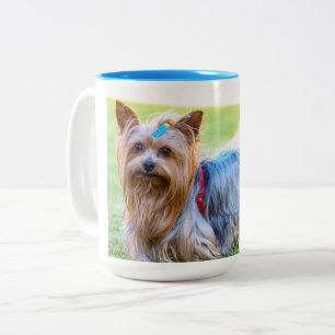 Yorkshire Terrier Yorkie Favorite Breed Tweekleurige Koffiemok