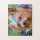 Yorkshire Terrier Yorkie Favourite Breed Legpuzzel (Verticaal)